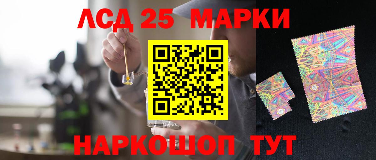 ЛСД экстази  ЛСД экстази кислота  Новозыбков  Вход с VPN  ЛСД экстази кислота 