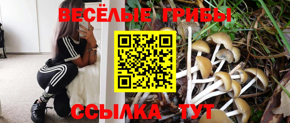 Псилоцибиновые грибы мицелий  Вход с VPN  Новозыбков  Галлюциногенные грибы Cubensis 